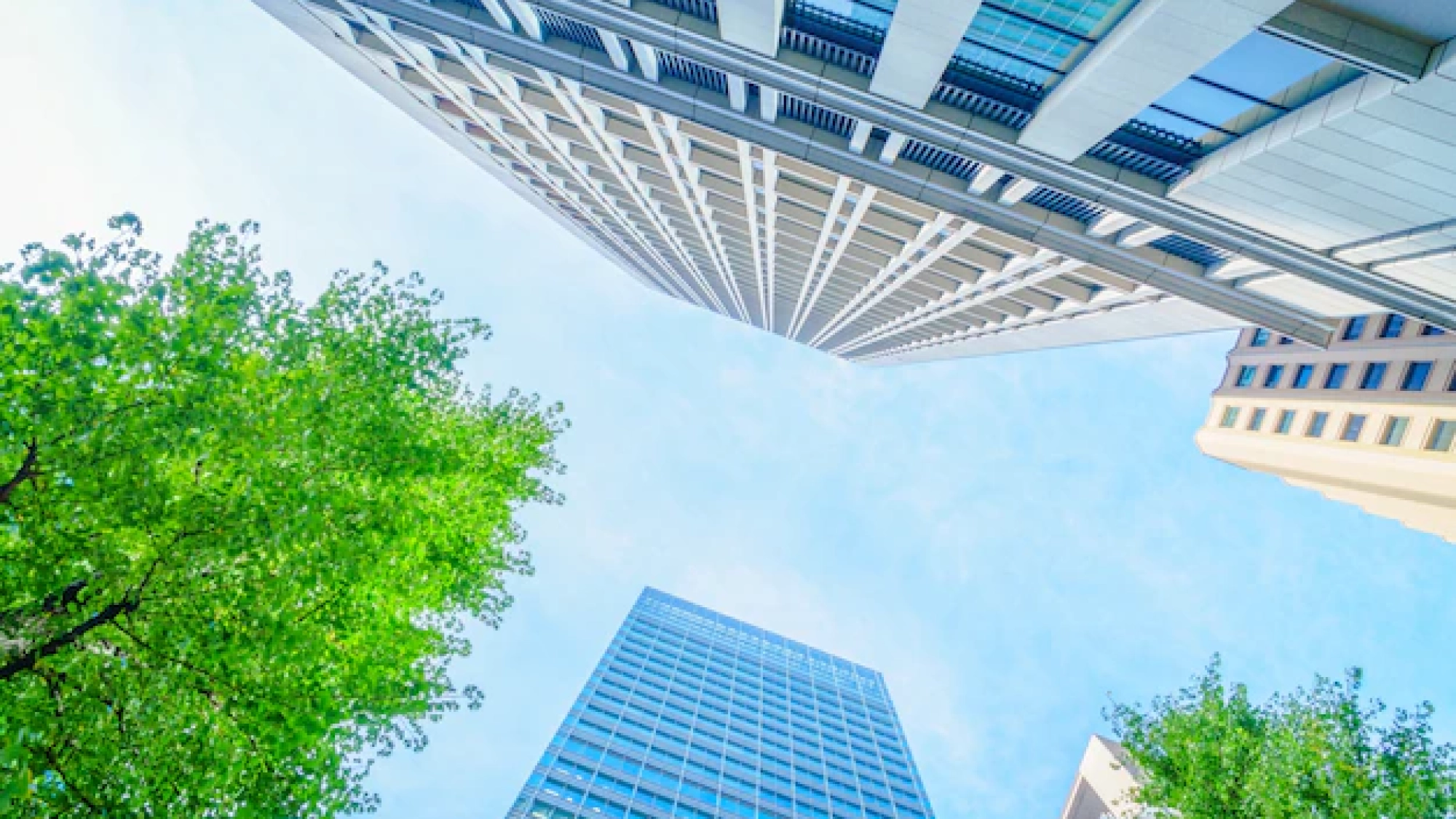 Thiết Kế Nhà Ở Hiện Đại: Sáng Tạo và Tiện Nghi